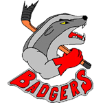 Badgers Spaichingen